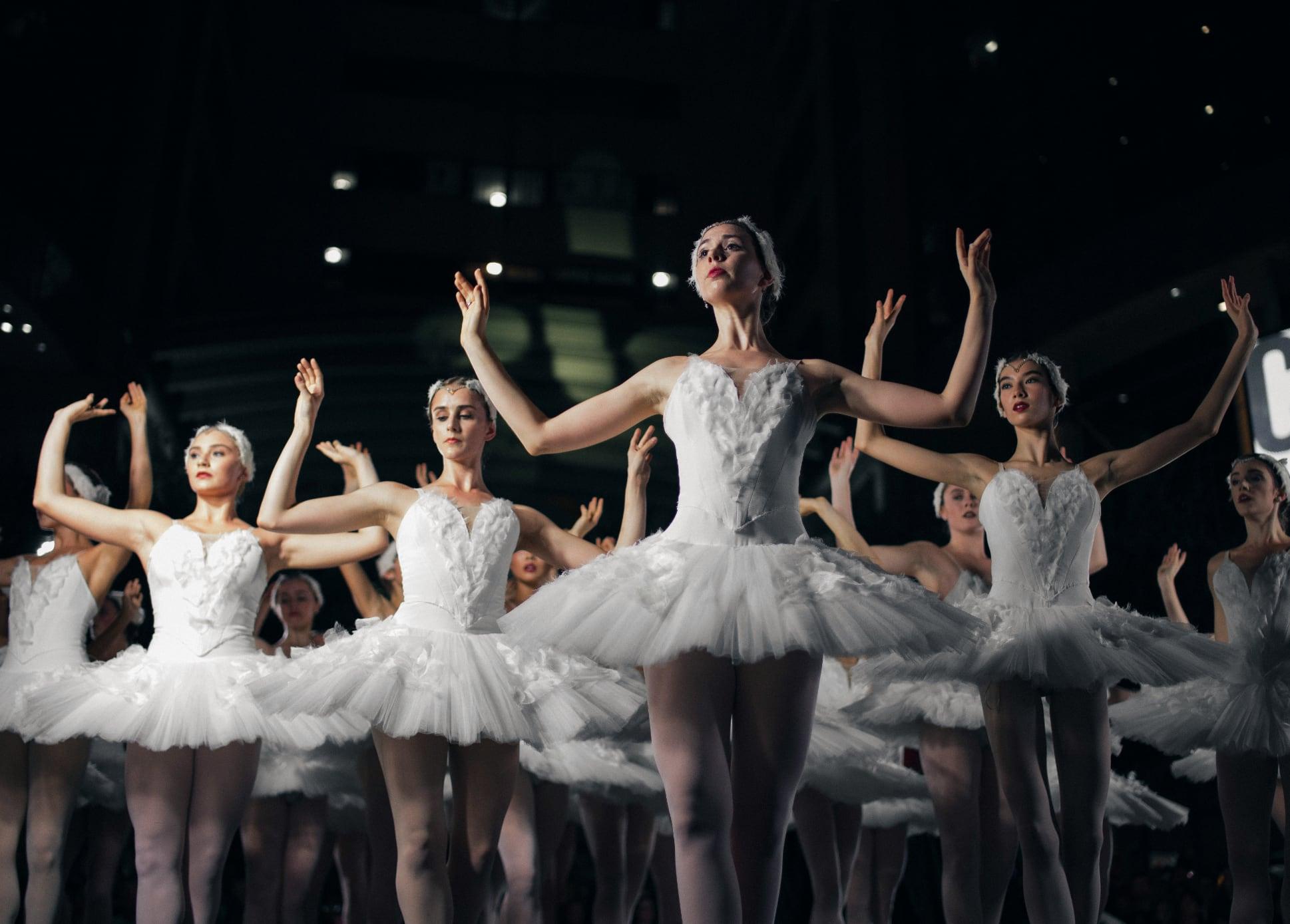 Ballet - Swan Lake